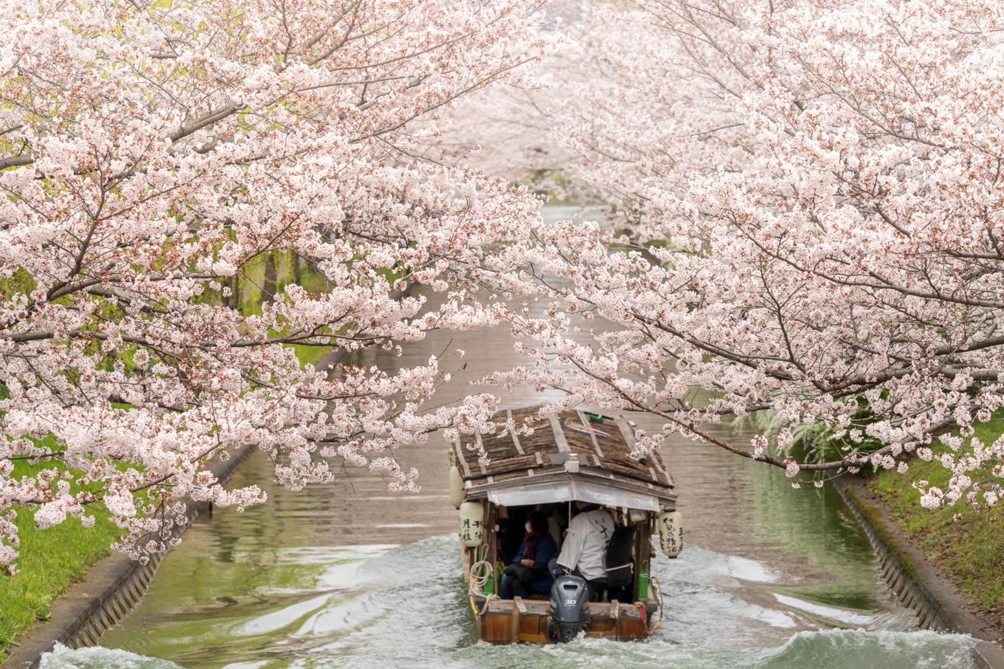Mimaru Kyoto Nishinotoin Takatsuji Otel Dış mekan fotoğraf