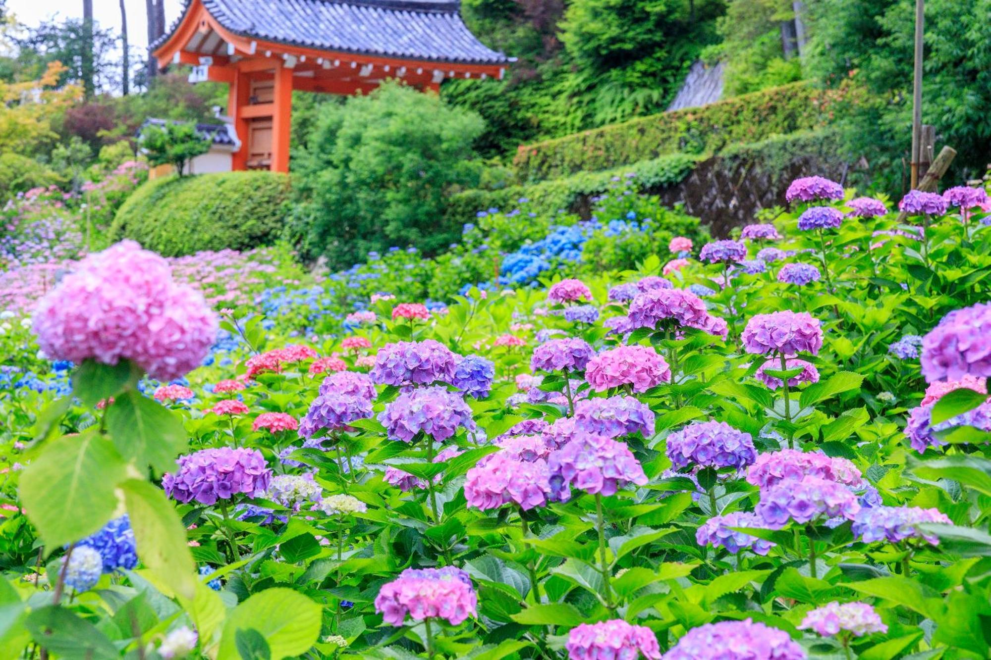Mimaru Kyoto Nishinotoin Takatsuji Otel Dış mekan fotoğraf