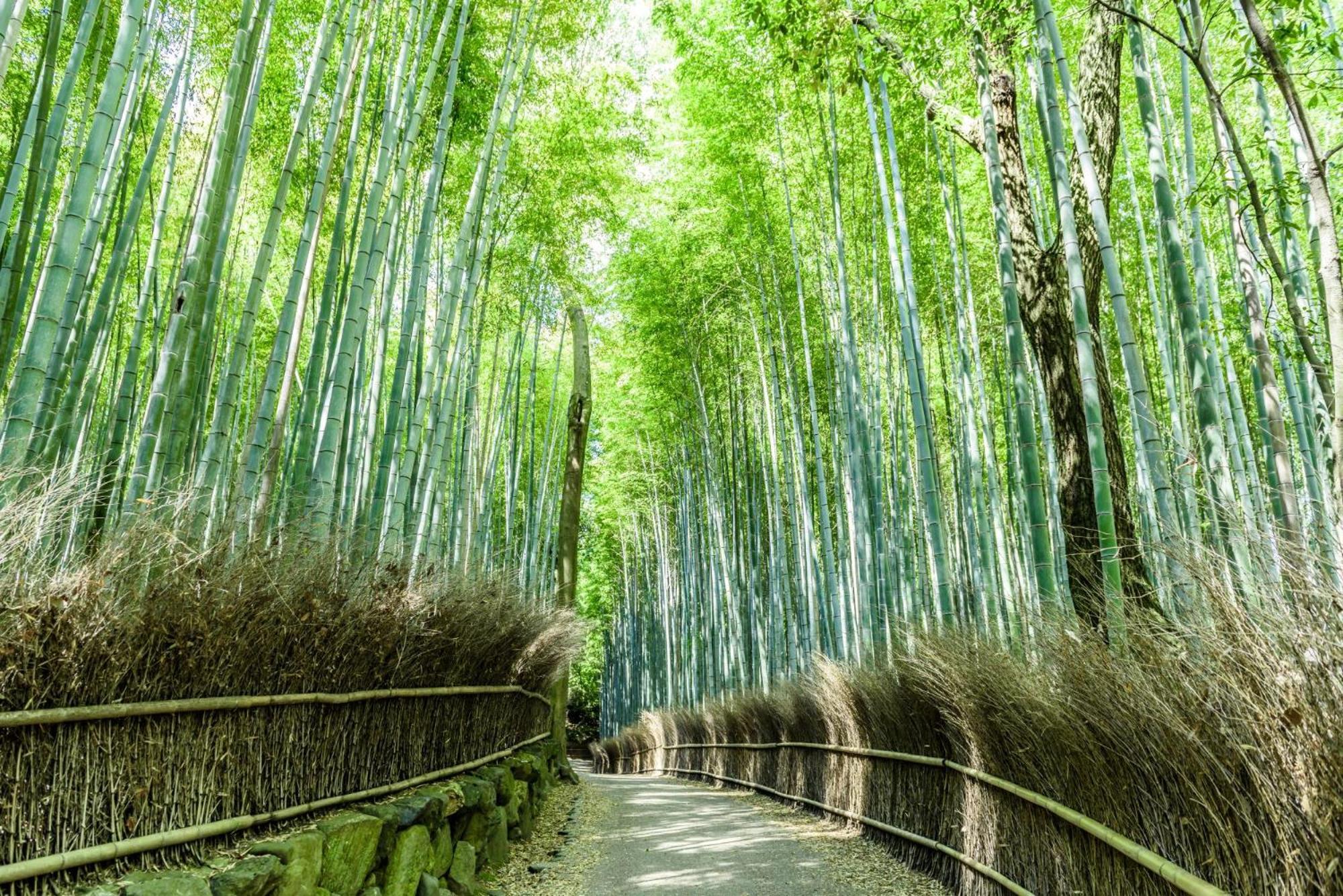 Mimaru Kyoto Nishinotoin Takatsuji Otel Dış mekan fotoğraf